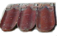 Turmbiber rot